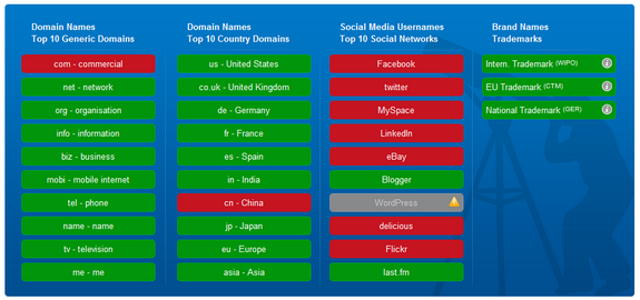 Domain name social network name search
