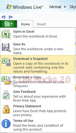 Excel Web Apps_2