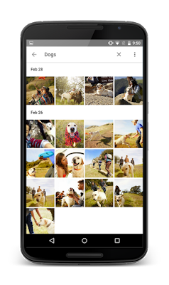 Google Photos1