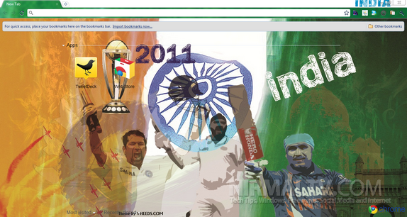 India Cricket Worldcup 2011