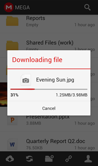 MEGA Android