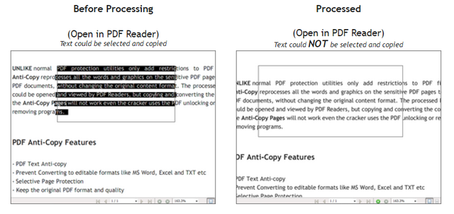 PDF Anti-Copy