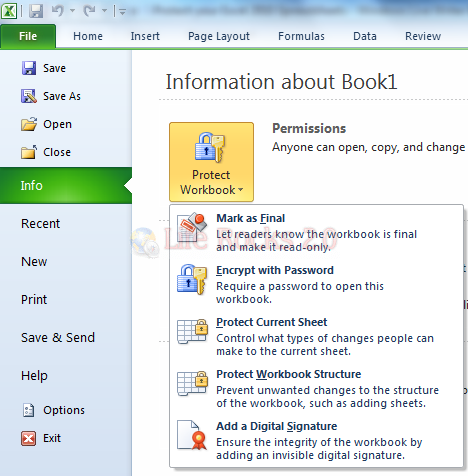 Protect Excel 2010