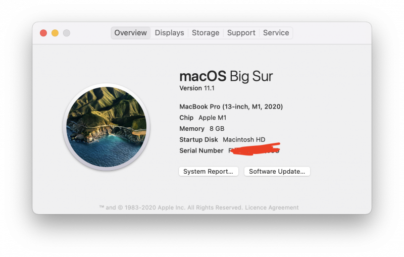 search mac serial number