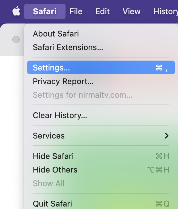 Clear Browsing Data on Safari