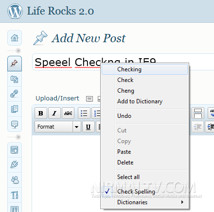 Spell Check in IE9