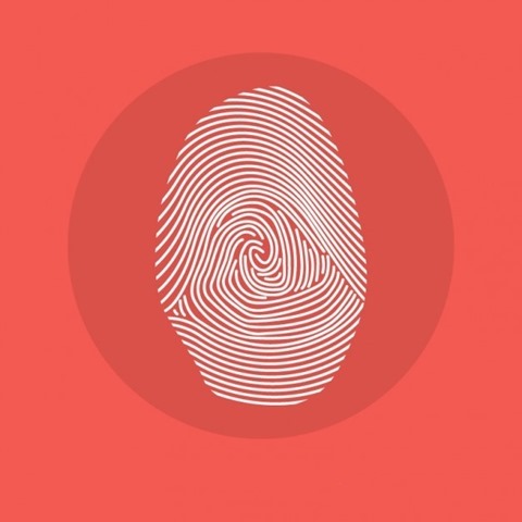 findyogi_fingerprint